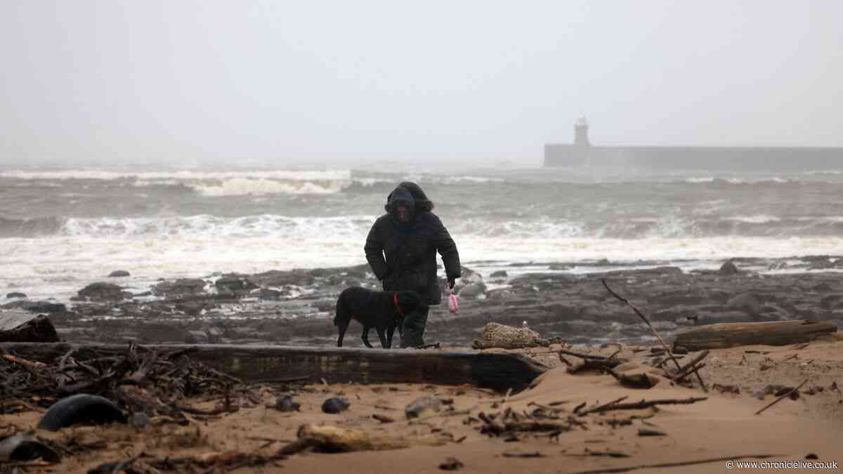 Met Office issues nine-hour thunderstorm warning for North East on Friday
