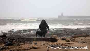 Met Office issues nine-hour thunderstorm warning for North East on Friday