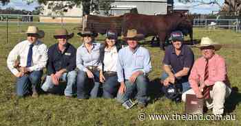 Interstate buyers drive fierce competition on Shorthorns, Charolais at Futurity sale