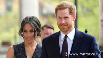 'I ran Prince Harry and Meghan's royal protection – this is the truth about threats'
