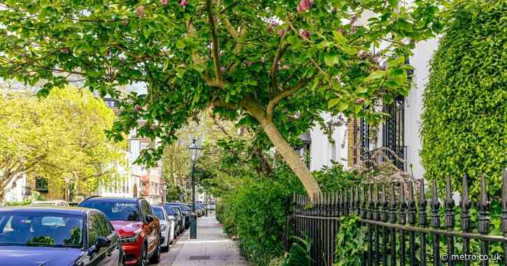 The 10 UK areas where people live the longest — and what they have in common
