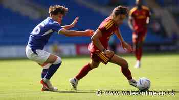 Cardiff City turn tide on transfers as records tumble and strategy laid bare