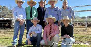 Buyers from four states chase carcase and structure at Ironbark Hereford sale