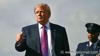 Trump insists Putin WON'T attack a NATO territory and says he's 'had good talks with him'