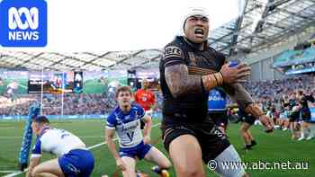 Live: Penrith try to go top against Dogs after Manly thump Dragons