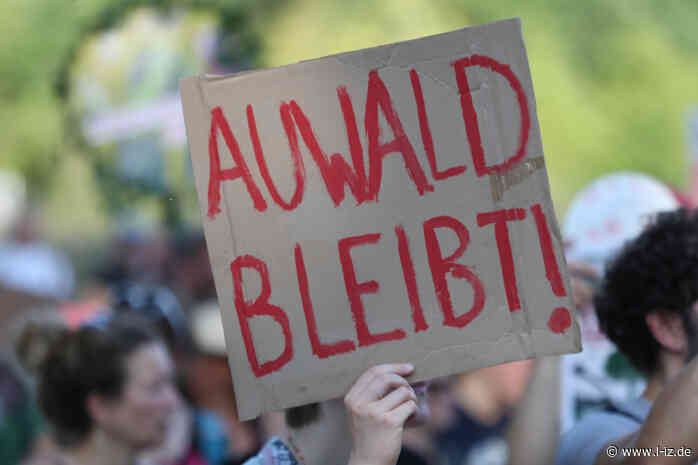Gastbeitrag: Zwischen Wald und Wirklichkeit – der Capa-Wald
