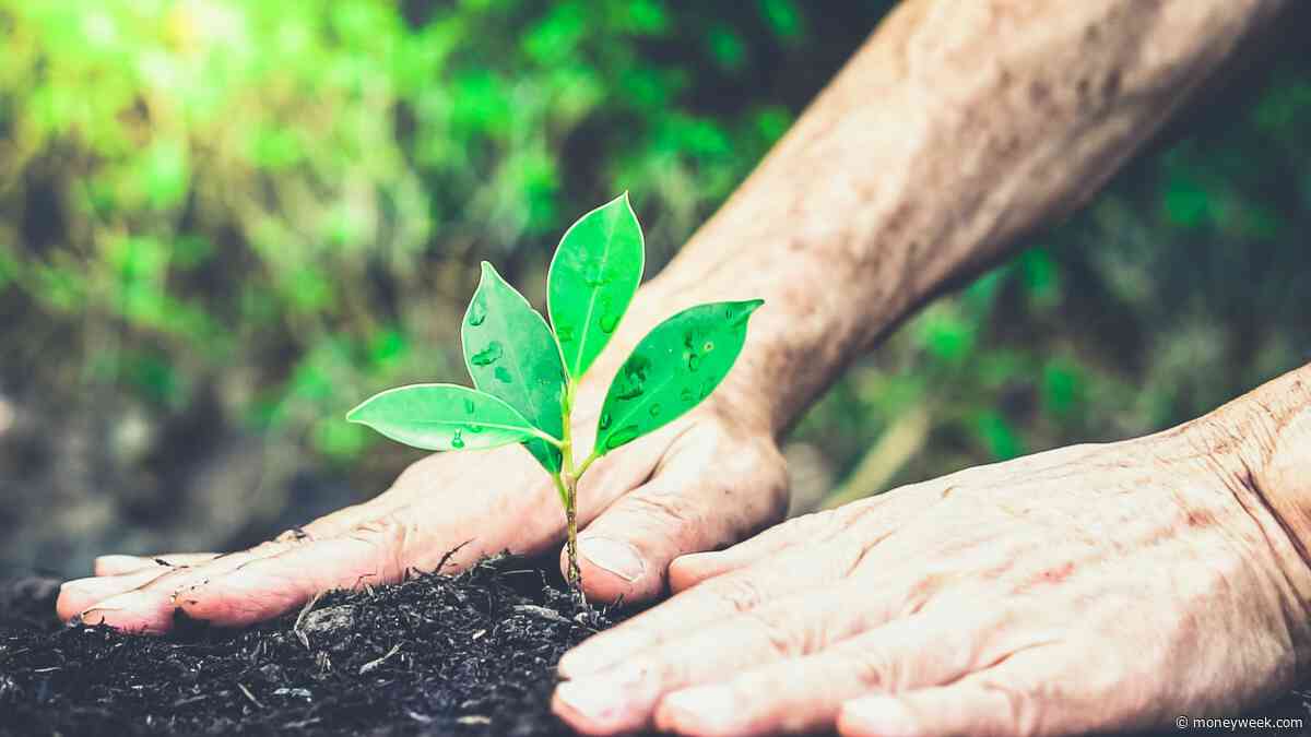 The case for investing in small caps