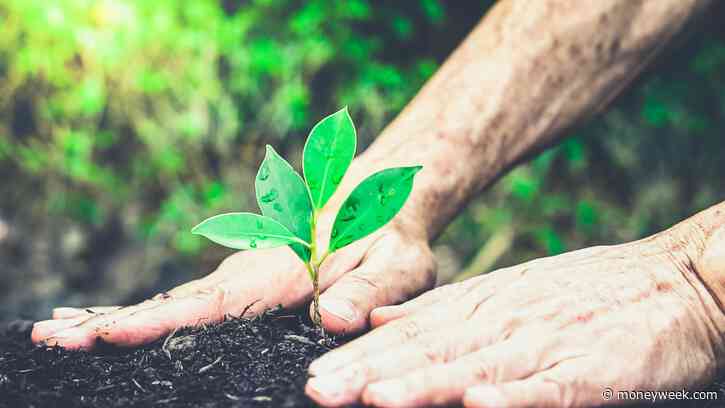 The case for investing in small caps