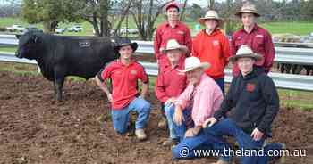 Interstate buyers drive Redbank Angus sale to new heights with increased numbers