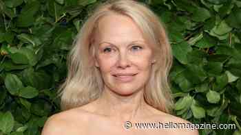 Pamela Anderson just gave this 'grandma' accessory a Hollywood makeover