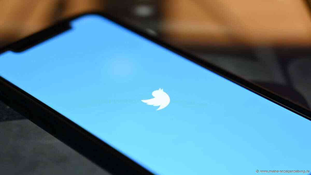 Gegen Widerstand von Elon Musk: US-Unternehmen will neues Twitter starten