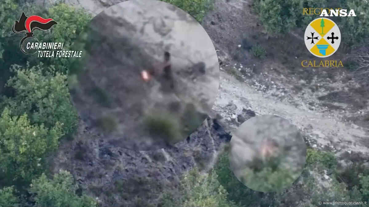 Appicca il fuoco a Filandari, ma un drone della Regione lo riprende in diretta: arrestato in flagrante | Video