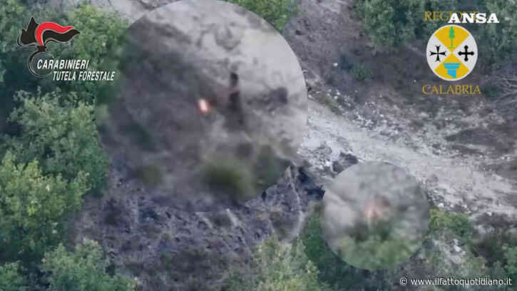 Appicca il fuoco a Filandari, ma un drone della Regione lo riprende in diretta: arrestato in flagrante | Video