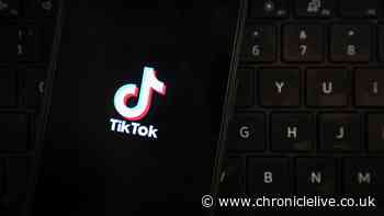 Predator committed sexual offences against underage North East girl after grooming her on TikTok