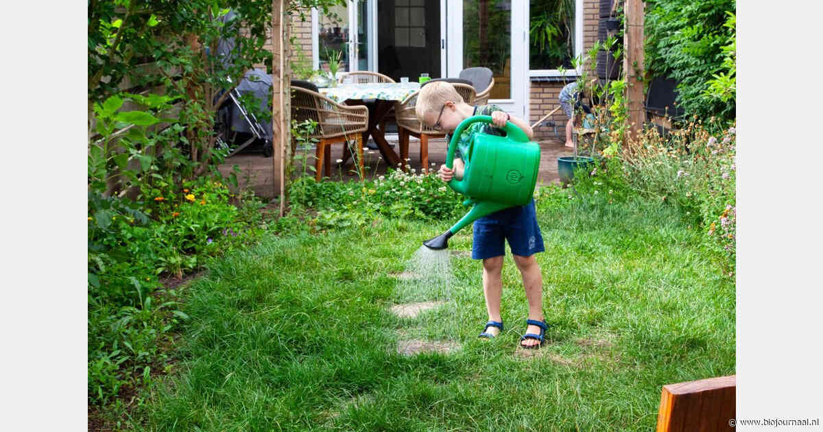 Waalwijk koppelt gratis tuinadvies aan winactie met biologische bloembollen