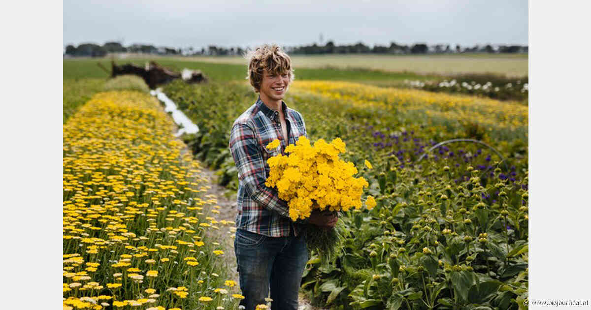 Meer vraag naar biologische bloemen: “Soms mislukt een gewas, maar dat is niet erg”