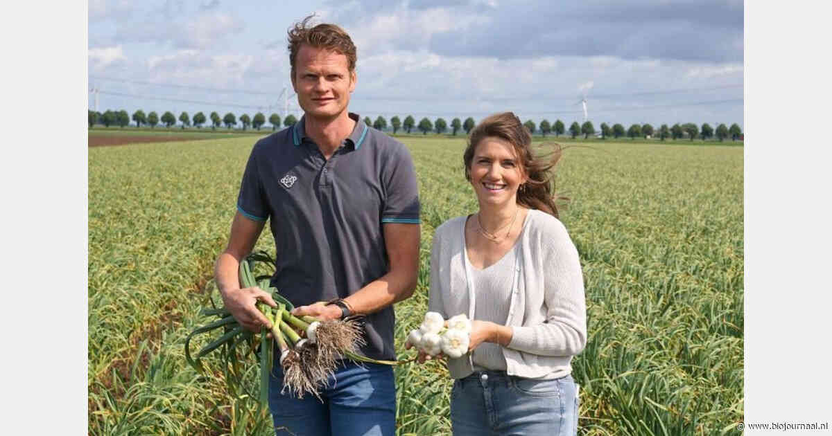 Afgekeurde biologische knoflook verwerkt tot puree: 5.720 kilo krijgt nieuwe bestemming
