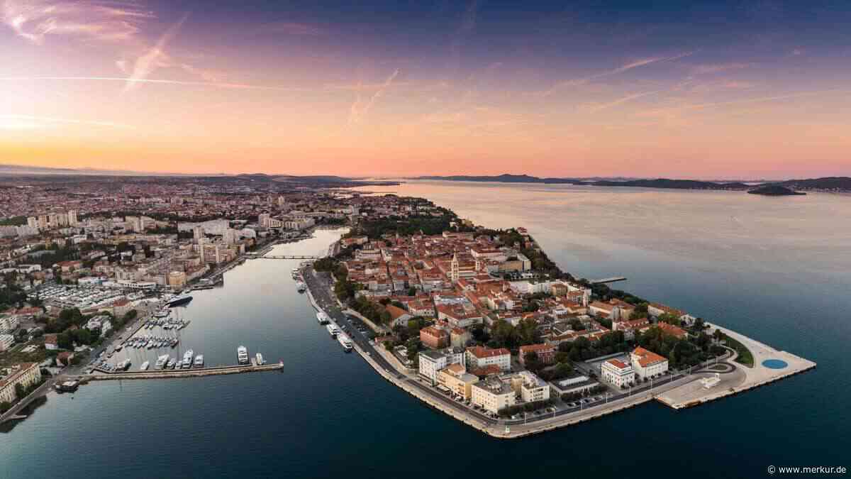 Sensation bahnt sich an – seltene Mönchsrobbe in der kroatischen Adria entdeckt