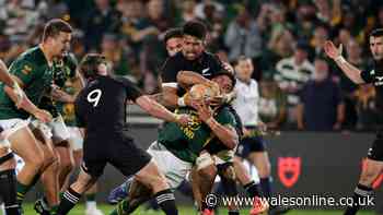 Nigel Owens steps in on bold South Africa v New Zealand call as TMO overruled