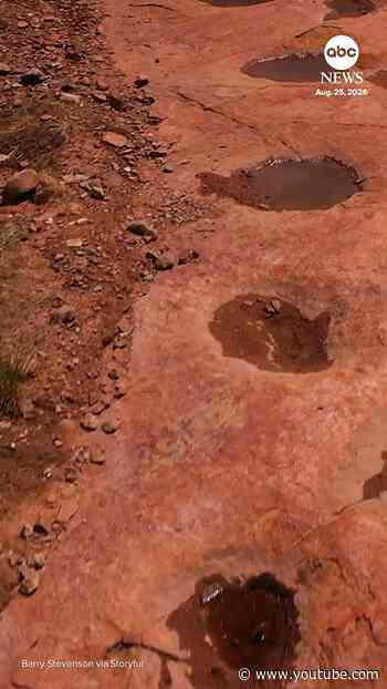 Dinosaur footprints from 150 million years ago