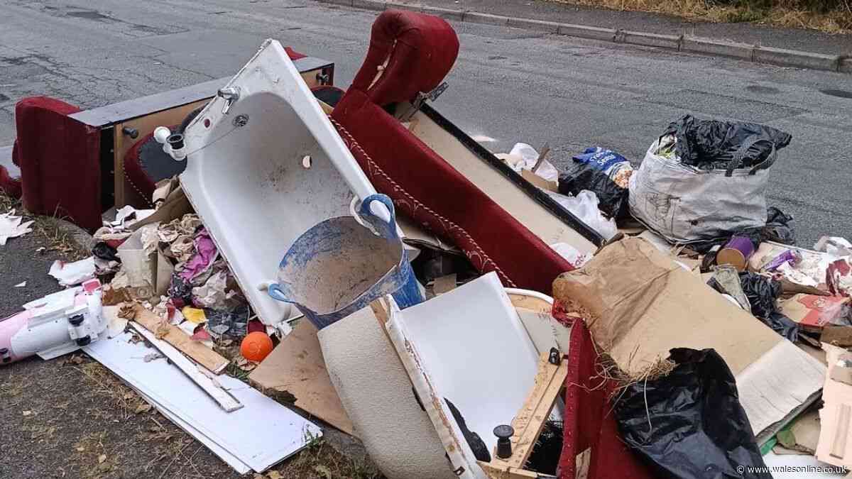 Bed and bath dumped on the side of a road in Brynmawr