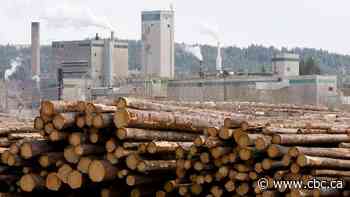 How Trump’s lumber tariffs made a bad situation worse in B.C.