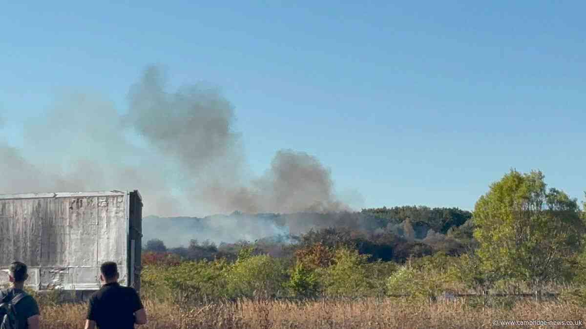 ‘Some animals may have been killed’ in Peterborough nature reserve fire