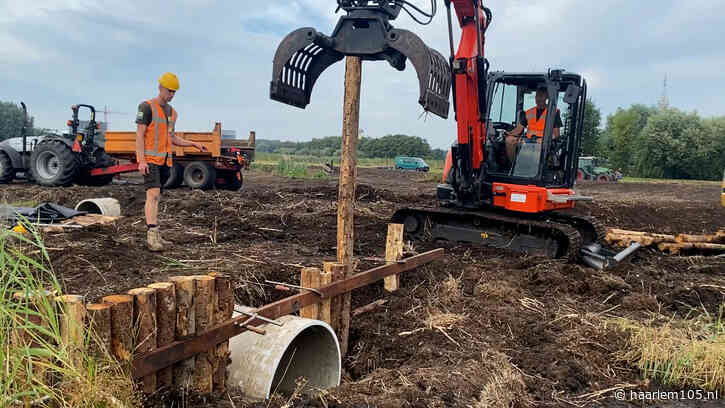 Natuurherstel moet biodiversiteit Binnen Liede vergroten