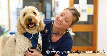 Wallington vet launches a new pet healthcare plan with unlimited consultations