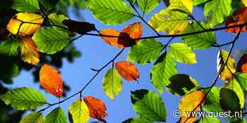 2026 heeft nu al een 'valse herfst', wat betekent dat voor ons en de natuur?