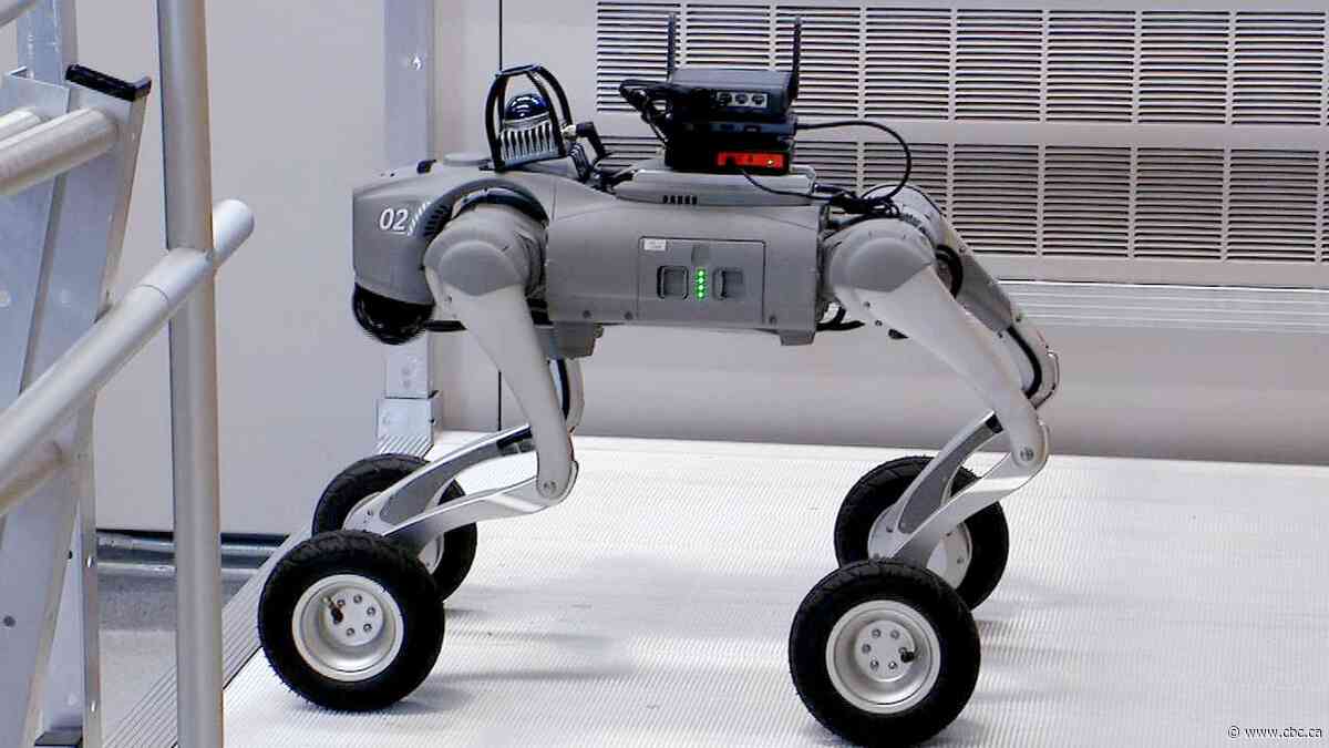 Robot dog lends a helping paw