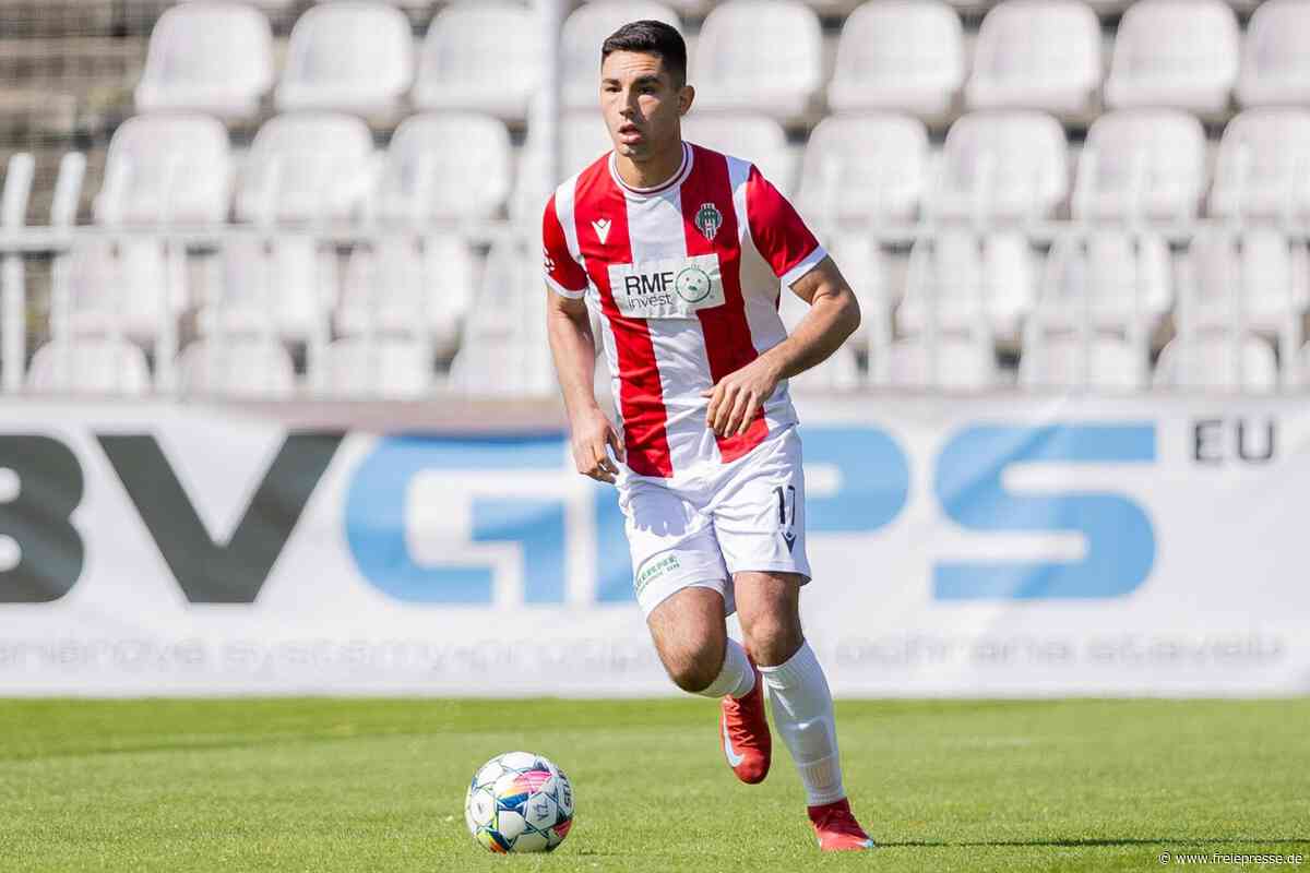 Verstärkung für die Defensive: Erzgebirge Aue verpflichtet Innenverteidiger aus Tschechien