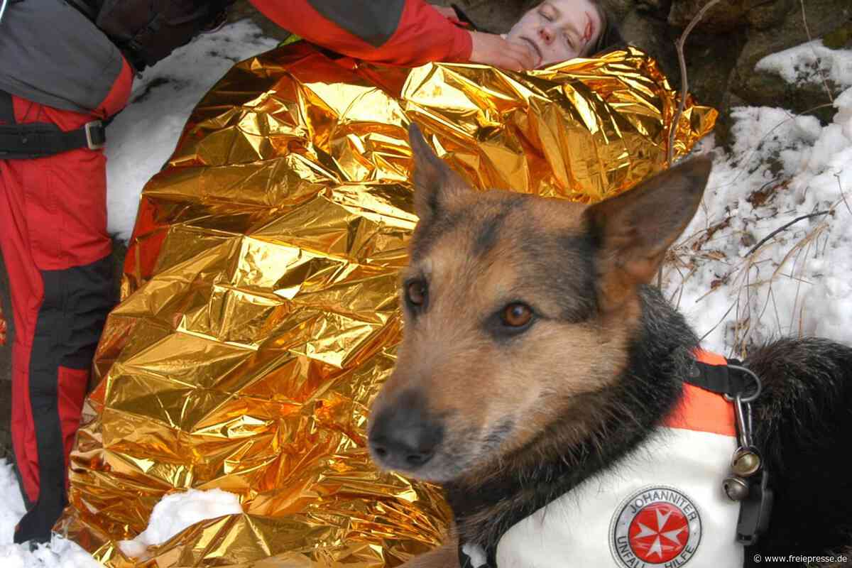 Deutschlands beste Rettungshunde kämpfen in Rochlitz um WM-Fahrkarte