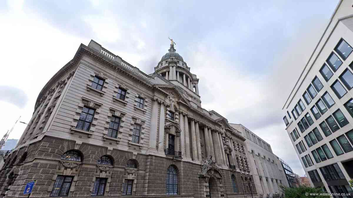 Man, 22, allegedly bought a gun and had IRA manual on his phone