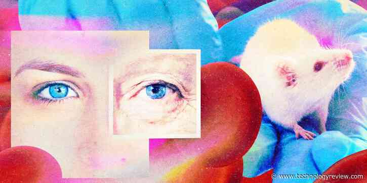 The Download: a secretive antiaging drug and joining virtual power plants