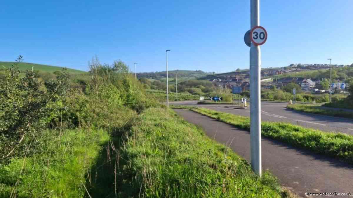 Concern for River Towy if 84 new homes are built in Carmarthen