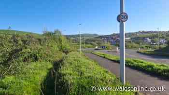 Concern for River Towy if 84 new homes are built in Carmarthen