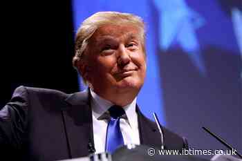 Donald Is a 'Pathetic, Frail, Needy Old Man' Propped up by His Aide Natalie Harp, Mary Trump Claims
