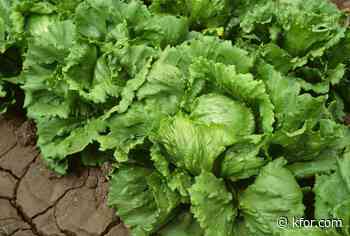Officials tie cyclospora outbreak involving iceberg lettuce to 3 more states