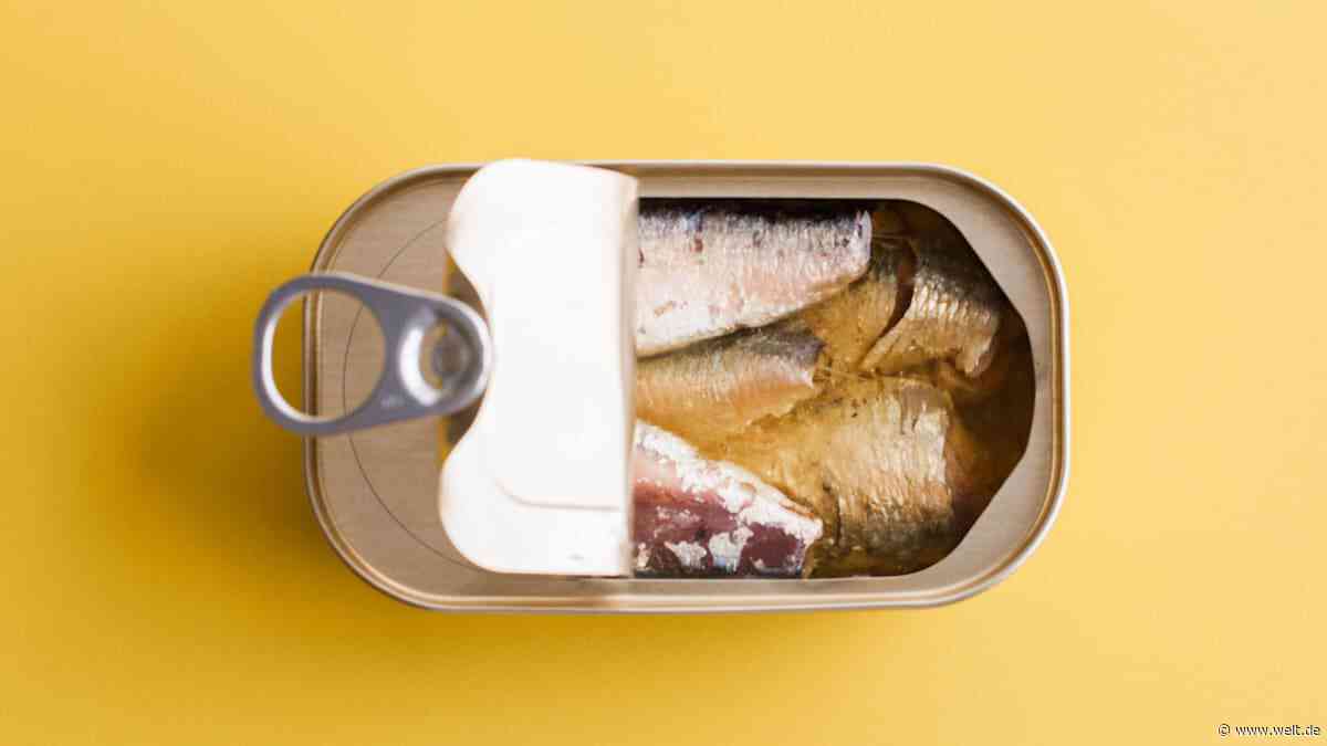 Plötzlich Mangelware – Das Rätsel um die Sardinen-Lücke in deutschen Supermärkten