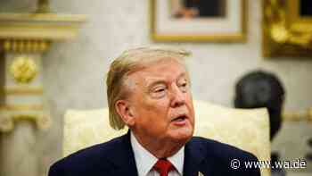 Trotz Drohnen-Vorfällen: Trump ist sicher, dass Putin kein NATO-Land angreift