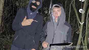 The postcode gangs terrorising Middlesbrough: How brazen young criminals linked to A66 crash have fought battles over the town's drug trade