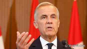 Carney: 'Naming reality means calling it Lake Ontario'
