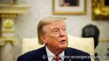 Trotz Drohnen-Vorfällen: Trump ist sicher, dass Putin kein NATO-Land angreift