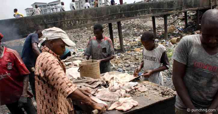 Lagos to turn abattoir waste into biogas, fertiliser