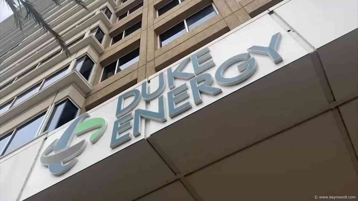 "Dump Duke" organizers launch bid to let voters decide on changing utility services