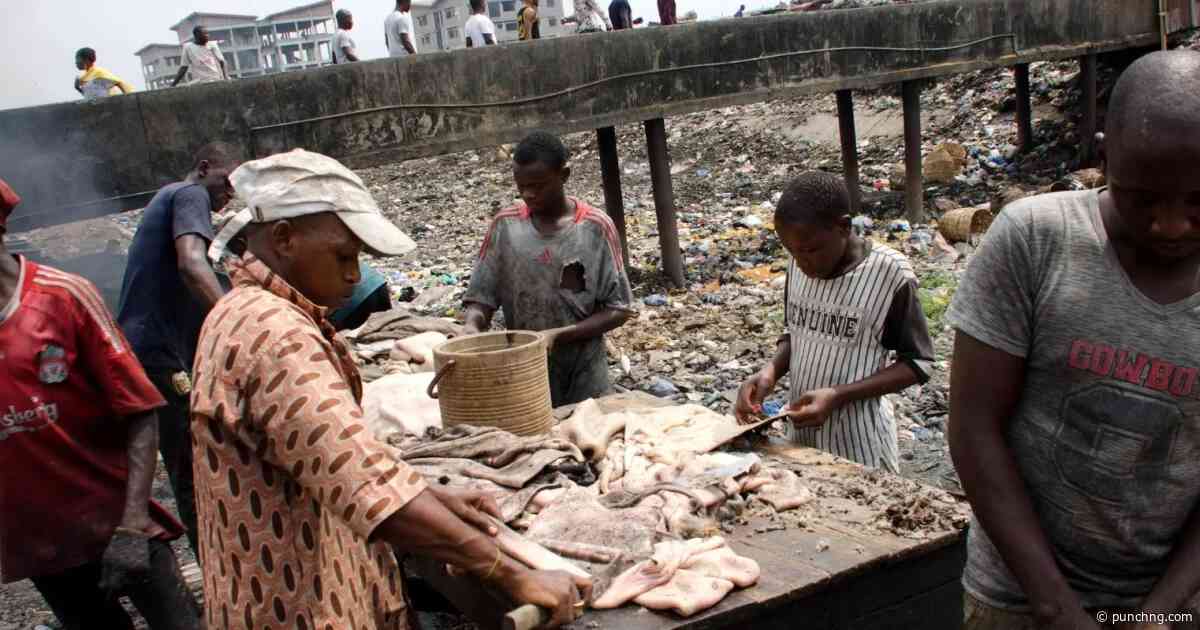 Lagos to turn abattoir waste into biogas, fertiliser