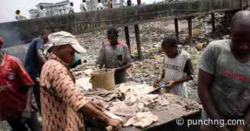 Lagos to turn abattoir waste into biogas, fertiliser