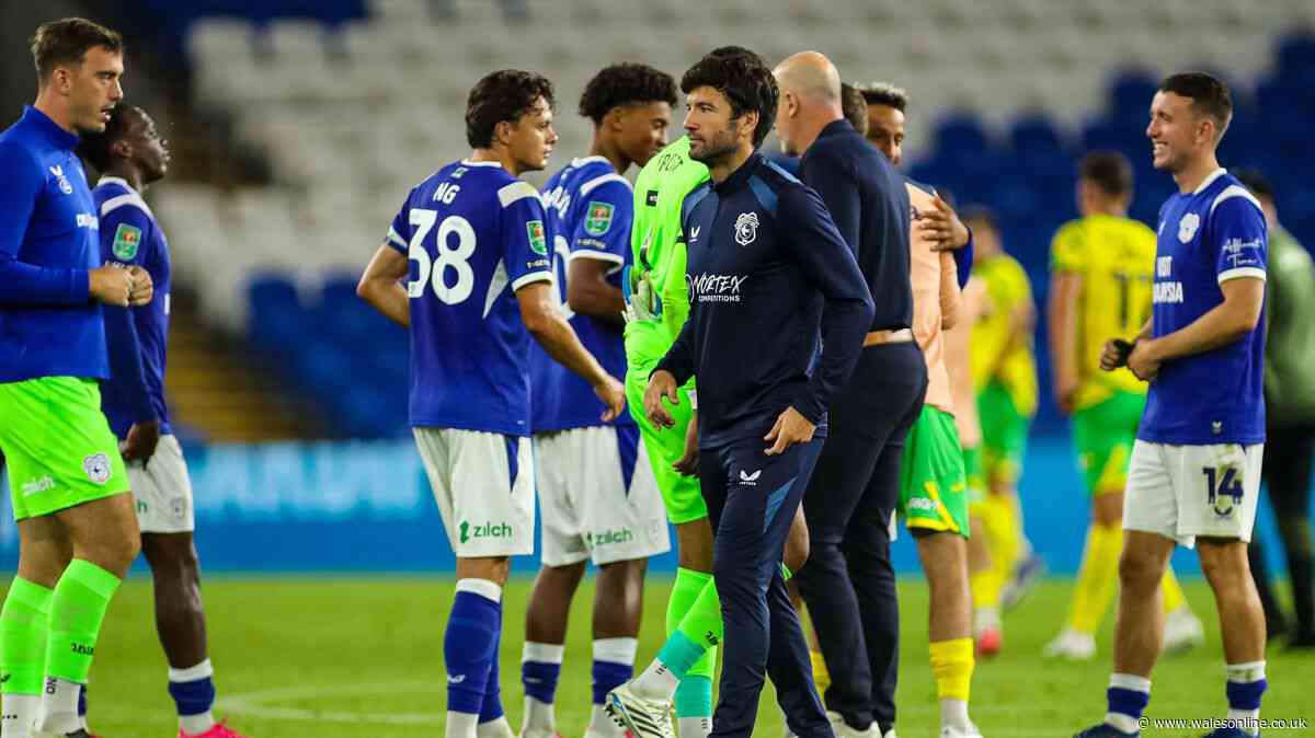 Cardiff City transfer notebook: New position wanted and winger attracts interest