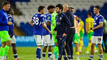 Cardiff City transfer notebook: New position wanted and winger attracts interest